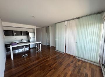 Departamento · 41m² · 1 Ambiente · Alquiler Departamento Loft Divisible en Maui Puerto Norte
