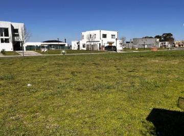 Terreno · 499m² · Lote en Venta en Santo Tomas, Pilar