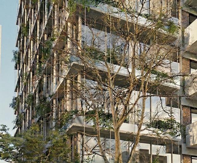vertical · Aura Conde - Conde 1553