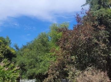 Quinta vacacional de 3 ambientes, Cañuelas · Excelente Quinta en Cañuelas