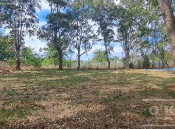 Terreno · 3000m² · Terreno Abasto 3000 m²