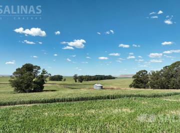 Campo · 8510000m² · 851 Ha Campo Agrícola en Tandil
