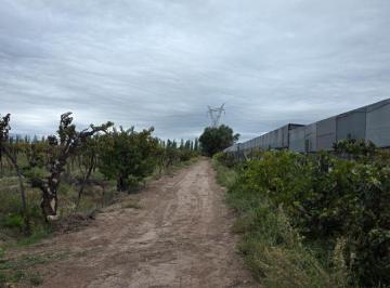 Terreno , Maipú · Finca en Venta de 4 Ha 452 m², Coquimbito - Maipú