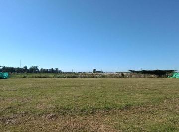 Terreno · 600m² · Terreno en Santa Isabel