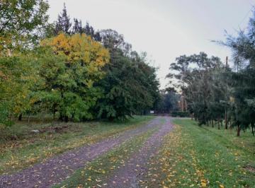 Terreno · 920m² · Terreno en Venta - 900 m² - Abasto, La Plata