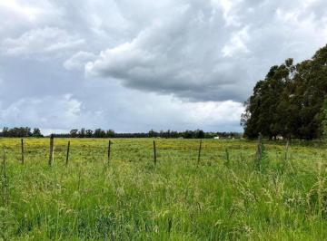 Campo · 32874m² · Campo en Venta - 32.874 m² - Mechongue, General Alvarado