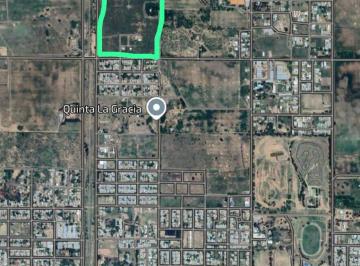 Terreno de 5 ambientes, Charata · Quinta 10,5 Hectáreas con Casa, Garage y Galpón - Charata Chaco