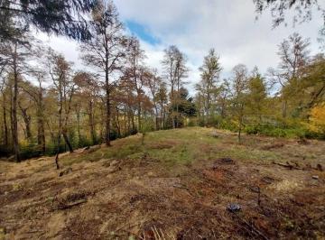 Terreno · 2450m² · Terreno Lote en Venta en Los Robles, San Martin de Los Andes, Patagonia