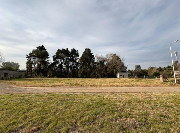 Terreno · 1501m²