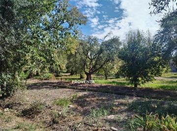 Campo · 36594m² · Vendo Finca 3 Ha, Rousel Maipu Mendoza,97 Lotes Potenciales, Servicios, desarrollo