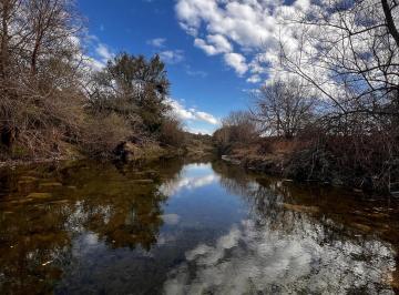 Campo · 1250000m² · Campo en Venta en Córdoba