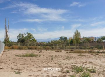 Terreno , Chacras de Coria · Lote en Qvattro Viamonte Vistalba Luján de Cuyo