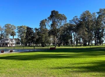 IMG_0296.jpeg · Venta Lote - Tres Pinos Villa de Campo - Golf