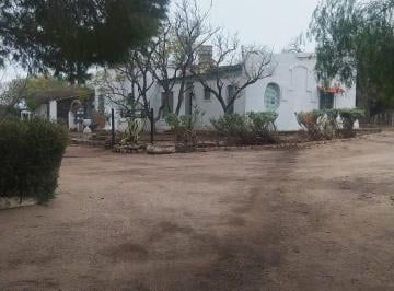 Campo de 8 ambientes, Ischilín · Campo 296 Ha en Alquiler Córdoba – Ganadería + Turismo Rural – Infraestructura C