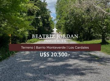 Terreno · 275m² · Terreno en Venta Barrio Monteverde