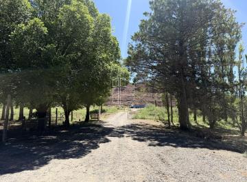 Campo · 500000m² · Venta - Chacra de 50 Has en Añelo - Sobre Ruta N 7 - R029