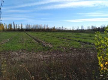 Campo , Goudge · Oportunidad de Venta! Finca de 100ha en Goudge