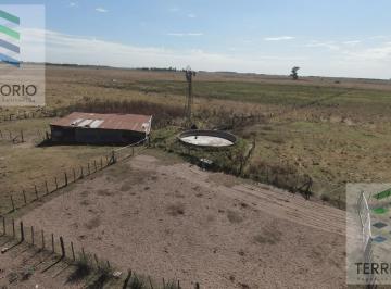 Campo · 177ha · 177 Hectáreas Estratégicas en Cañuelas – Ruta 3 Km 72 – Acceso Asfaltado