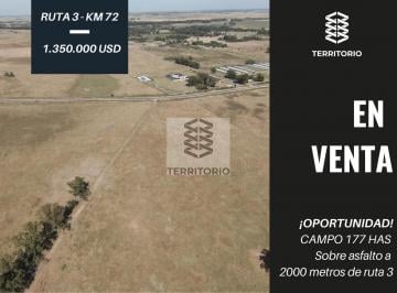 Campo · 1770000ha · 177 Has en Cañuelas – Acceso por Asfalto, Ruta 3 Km 72