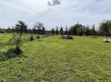 Terreno · 1125m² · Lote en Venta en Santa Anita Cañuelas