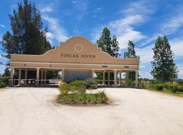 Terreno · 618m² · Venta de Terreno en Fincas Joven