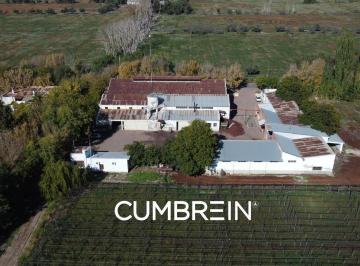 Campo · 1240000m² · Bodega y Viñedos en Venta en San Rafael | Cumbrein