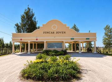 Terreno , San Vicente · Lote en Fincas Joven, San Vicente