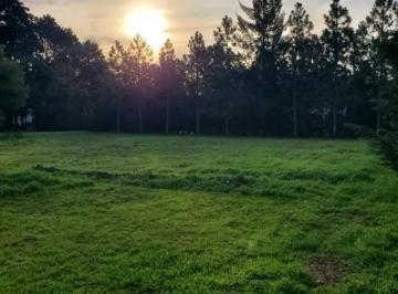 Terreno · 1560ha · Venta de Lote de 1550 m² en San Diego Country Club, Moreno