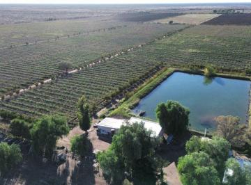 Campo , San Martín · Finca de 43ha con Goteo Sobre Carril Zapata