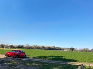 Campo · 375000m² · Campo (Km49,5 Altura Instituto Fleni) 50ha Asfalto Hasta La Entrada