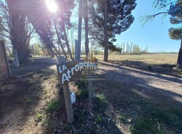 Campo · 97000m² · 3 Ambientes · 1 Cochera · Venta de Terreno con Chacra en Rio Colorado