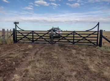 Campo , Coronel Pringles · Campo en Venta con 220 Ha en Coronel Pringles