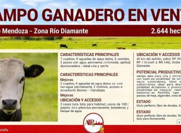 Campo · Campo - General Alvear