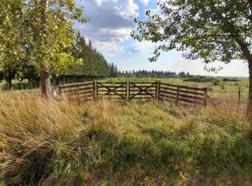 Terreno · 8662m² · Terreno Venta Brandsen Estancia Las Malvinas 1