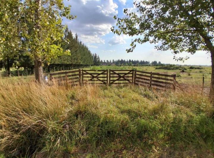 Terreno · 8662m²