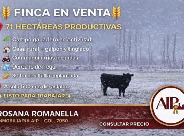 Campo · 3 Dormitorios · Campo - General Alvear