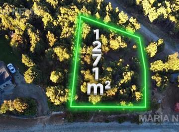 Terreno · 1271m² · Terreno en Lomas del Cauquen