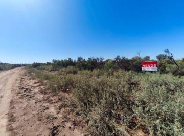 Campo , Lavalle · 102 Ha en La Palmera, Lavalle - Sobre Asfalto y con Factibilidad de Pozo - Ubicación Estratégica