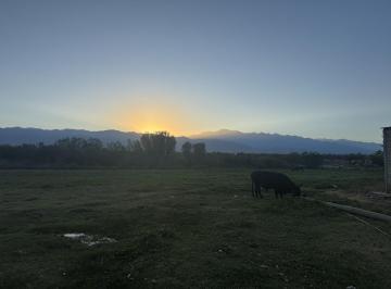Terreno · 760000m² · Finca en Chilecito - San Carlos