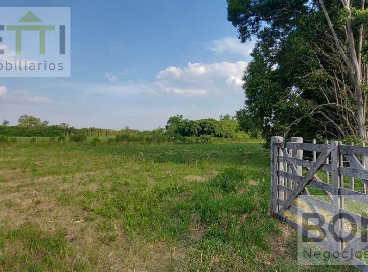 Campo · 41500ha