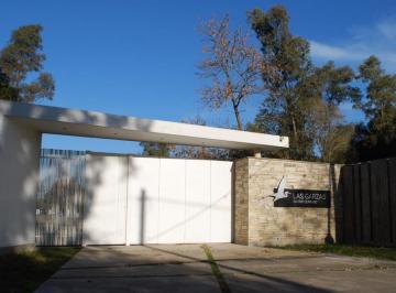 Terreno · 630m² · Terreno - Villa Elisa