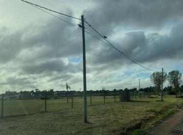 Campo , Berazategui · Ideal Emprendimiento Inmobiliario 20 Hectáreas en El Pato.