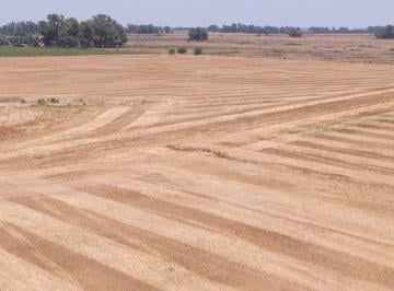 Campo · 1000000m² · Campo en General Las Heras