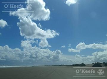 Campo · 1350000m² · Campo en Venta de 139 Has en Tres Arroyos