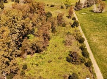 Terreno · 12466m² · Fracción Sobre Colectora Ruta 8 Km 79 - Cerca de Parada Robles - 12.466 m² - Excelente Acceso