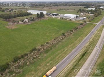 Campo · 44300m² · Chacra en Venta de 4,43 Has en Cañuelas