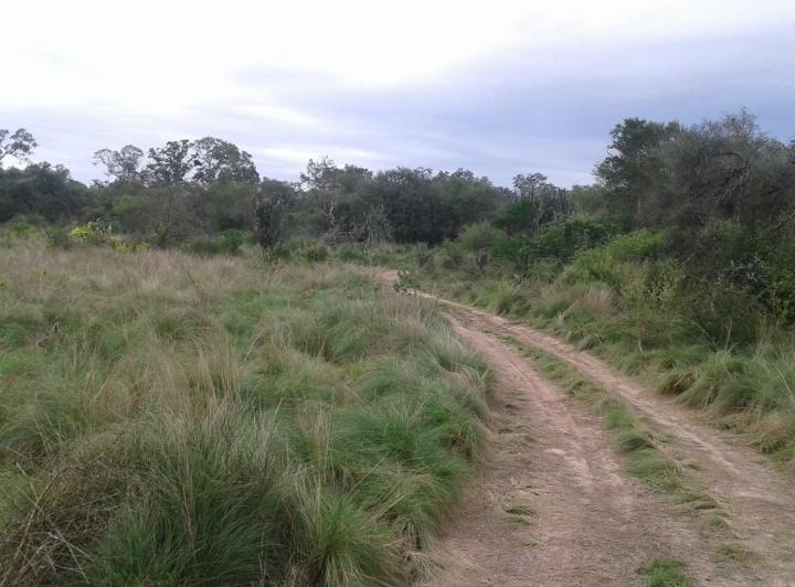 Campo · 2000m²