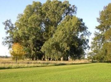 Campo · 25m² · Campo en Venta en Pilar, La Mejor Zona del Polo