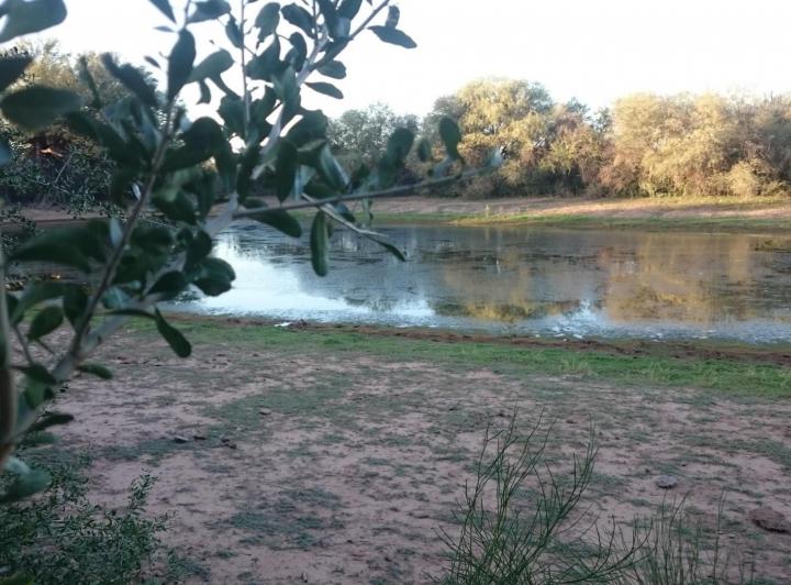 Campo · 62500m²