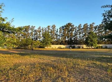 Terreno , San Pedro · Aires del Paraná - San Pedro, Buenos Aires